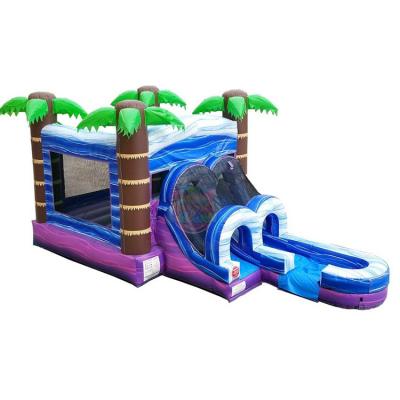 Heavy Duty Tropical Inflatable Castle With Slide
