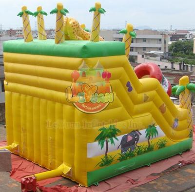 Virgin Forest Inflatable Dual Slide