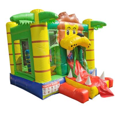 Mini Bouncers