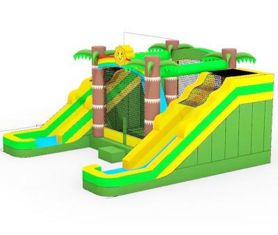 New Design Tropical Dual Water Slide Bounce Unit