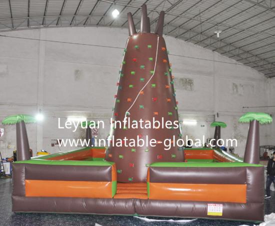 Jungle Theme Climbing Wall