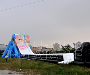 55m Longer Inflatable Hippo Water Slide